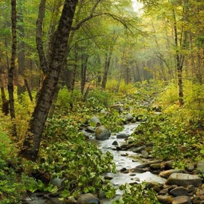 二重螺旋-动作割草新游